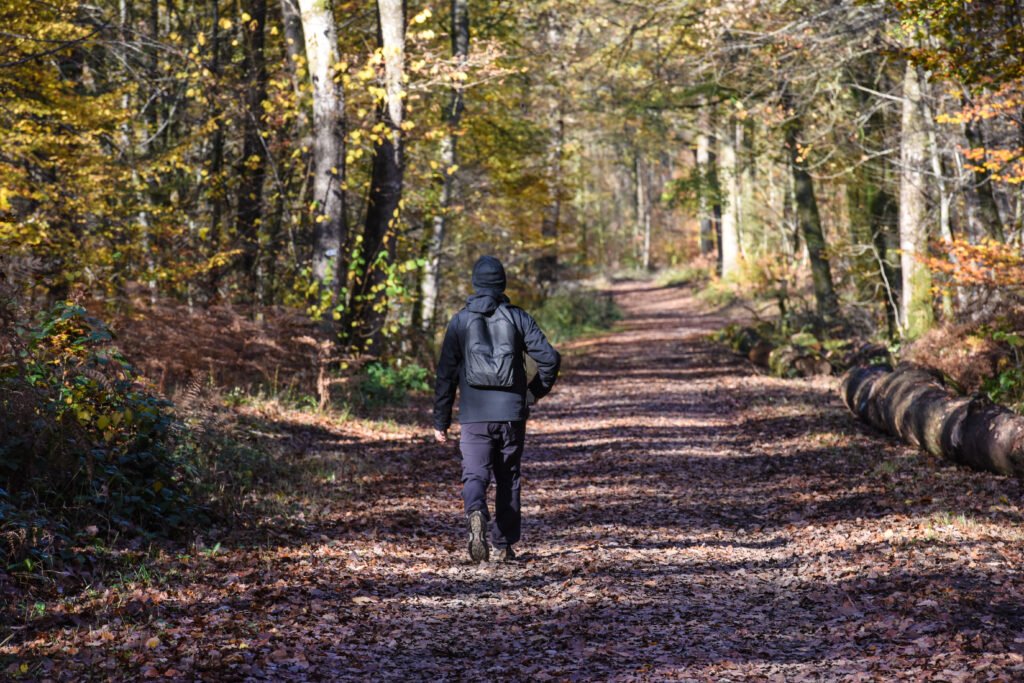 Person walking along a wooded path, symbolizing the journey of rebuilding life after hardship.